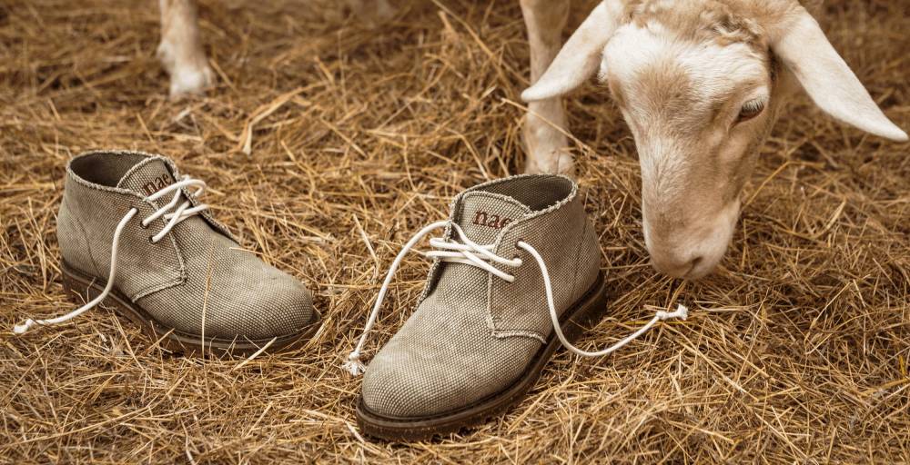 6 Marcas de calzado vegano que puedes comprar en España — Rutas Veganas