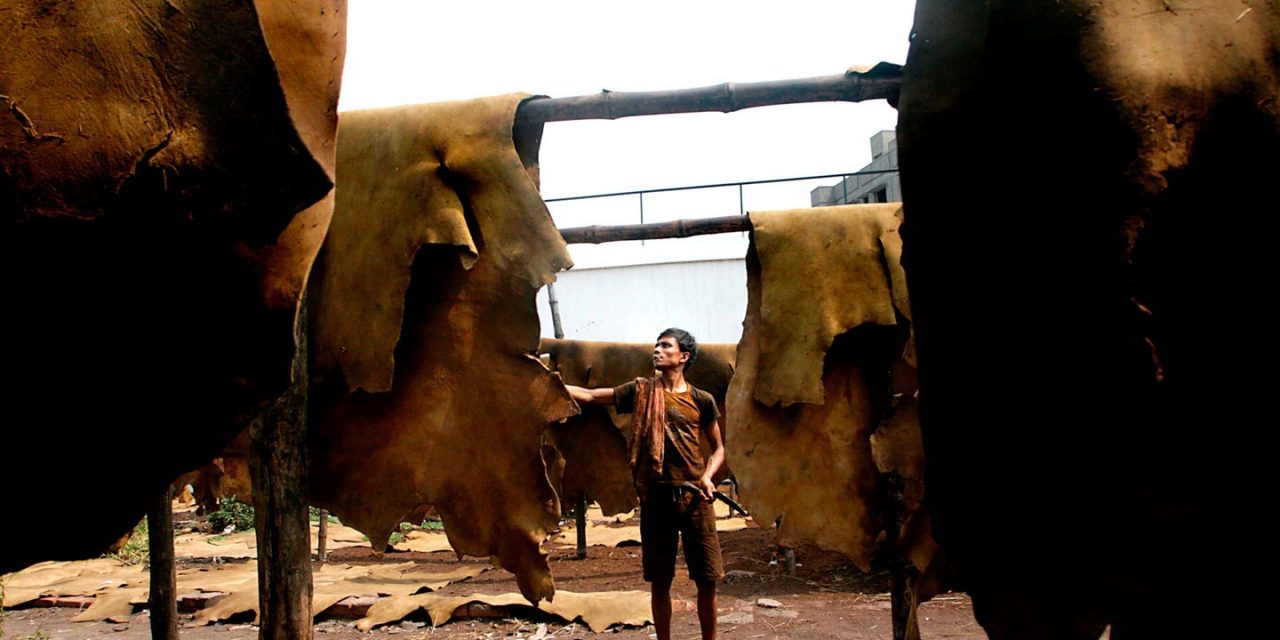 POR QUÉ NO VESTIR CUERO O PIEL ANIMAL